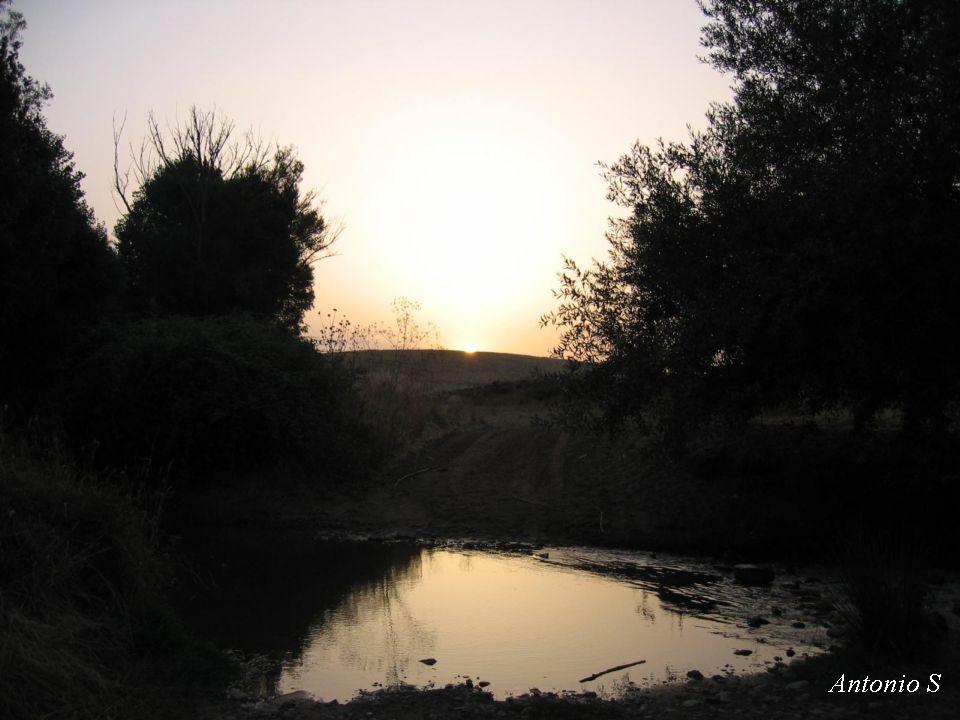 Tramonto.........sulla Fiumara